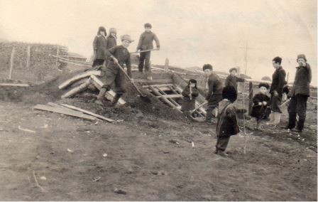 Юннаты на закладке теплицы.1951 год