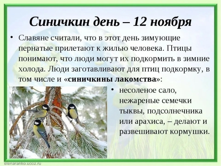 Акция «Синичкин день».